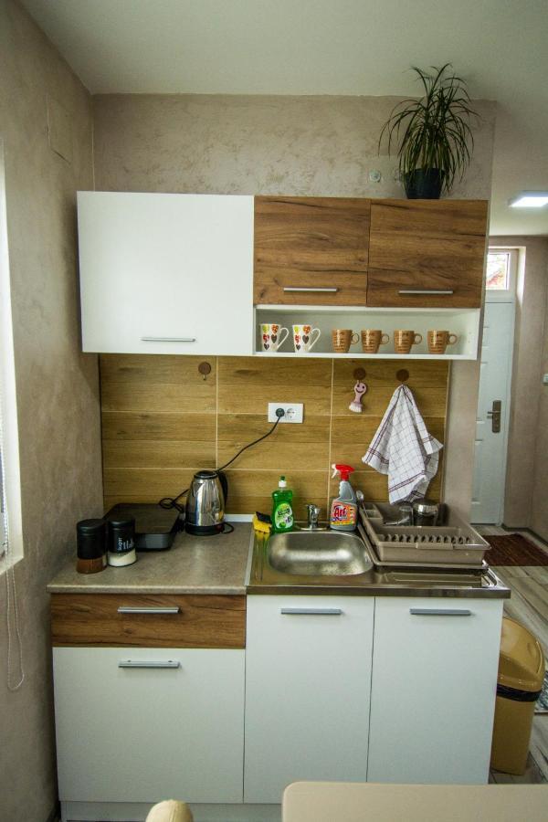 Appartement Apartman Trijumf à Bajina Basta Extérieur photo